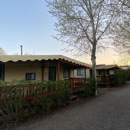 Zona Rosa 5 Chalet Mit Klimaanlage Und Wlan Viareggio Exterior foto